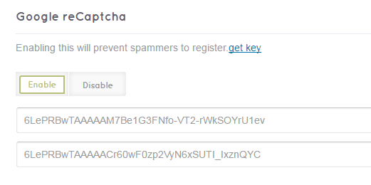 DirectoryEngine update 2.1.1 - reCAPTCHA in backend