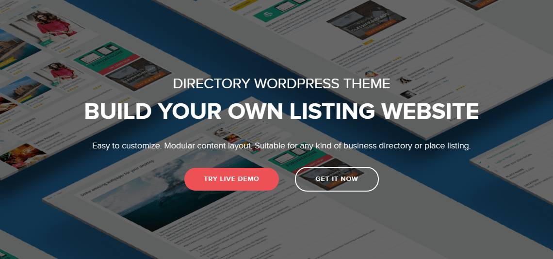 create a directory website with WordPress - DirectoryEngine
